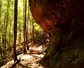 Cave Creek Walking Track - Attractions Sydney 1