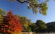 Lake Alexandra Reserve - thumb 1
