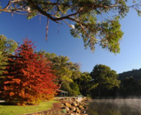 Lake Alexandra Reserve - Attractions Sydney 1