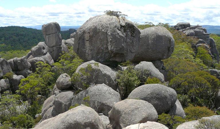 Fernbrook NSW Attractions Sydney