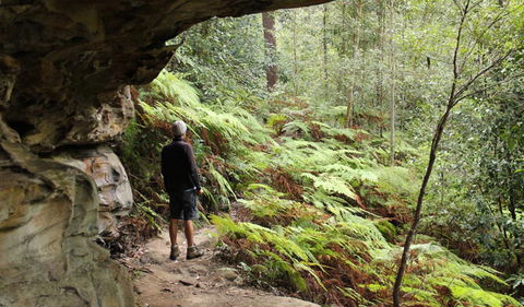Dharug National Park - Attractions Sydney 0