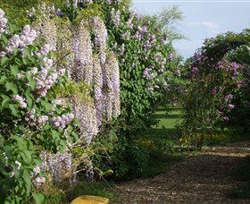 Back O The Moon - Attractions Sydney 3