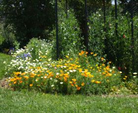 Back O The Moon - Attractions Sydney 2