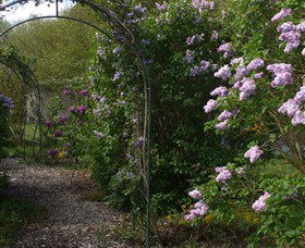 Back O The Moon - Attractions Sydney 4