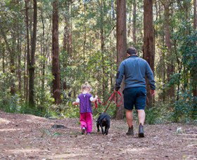 Olney State Forest - Watagan Mountains - Attractions Sydney 0