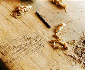 Sally Beresford Antiques/French Farmhouse Tables - Attractions Sydney 2