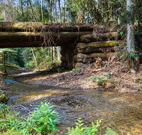 Myrtle Scrub scenic drive - Attractions Sydney