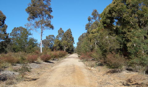Werakata National Park - Attractions Sydney 0