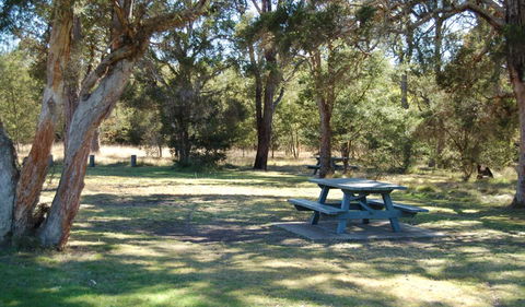 Werakata National Park - Attractions Sydney 1