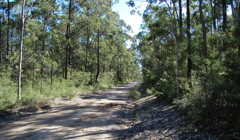 Werakata National Park - Attractions Sydney 2