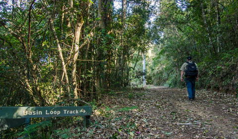 Basin Loop Track - Attractions Sydney 0
