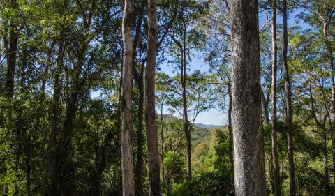 Basin Loop Track - Attractions Sydney 3