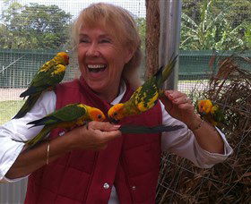 Bald Knob QLD Attractions Sydney