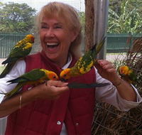 Maleny Botanic Gardens  Bird World - Attractions Sydney