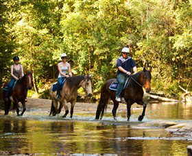 Glenworth Valley Outdoor Adventures - Attractions Sydney 2