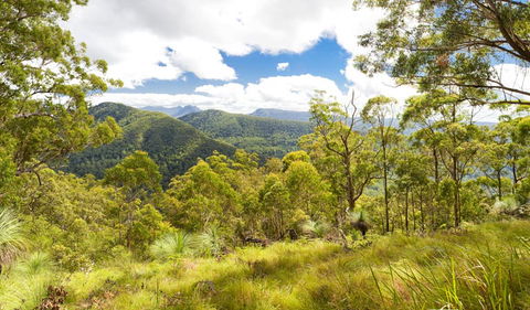 Toonumbar National Park - Attractions Sydney 0