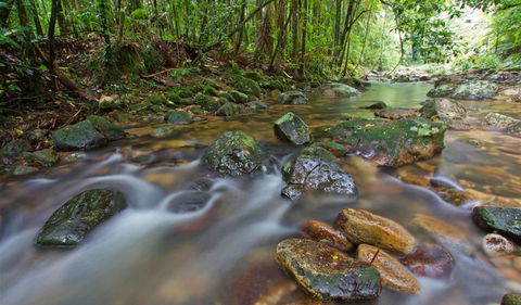 Toonumbar National Park - Attractions Sydney 1