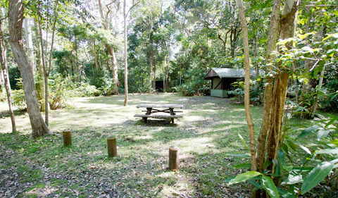 Toonumbar National Park - Attractions Sydney 3