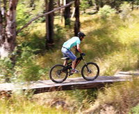 Book Barrington Accommodation Vacations Attractions Sydney Attractions Sydney