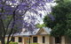 Hambledon Cottage House Museum - thumb 5