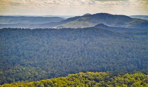 Murray Scrub Lookout - Attractions Sydney 1