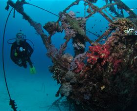 Severance Shipwreck Dive Site - Attractions Sydney 0