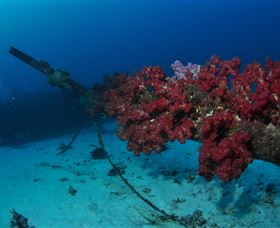 Severance Shipwreck Dive Site - Attractions Sydney 2