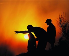 Mallanganee Lookout - Attractions Sydney 1