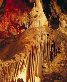 Buchan Caves Reserve - Attractions Sydney 0