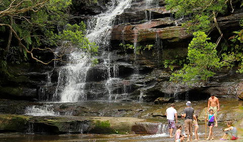 Somersby Falls Picnic Area - Attractions Sydney 2