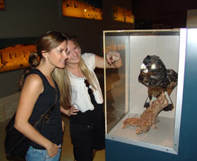Pinnacles Desert Discovery Centre - Attractions Sydney 2