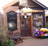Australian Alpaca Barn - Morpeth - Attractions Sydney