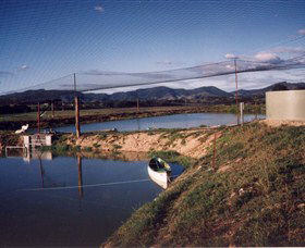 Trudgalong Farm - Attractions Sydney 1