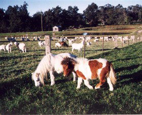 Trudgalong Farm - Attractions Sydney 0