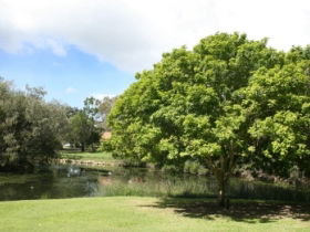 Hervey Bay Botanic Gardens - Attractions Sydney 0