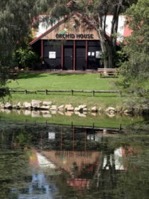 Hervey Bay Botanic Gardens - Attractions Sydney 1