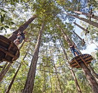 TreeTop Adventure Park Central Coast - Attractions Sydney