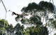 Circus Arts Sydney - thumb 5