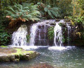 Barrington Tops National Park Walks - Attractions Sydney 0