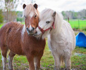 Amazement Farm And Fun Park / Cafe And Farmstay Accommodation - Attractions Sydney 5