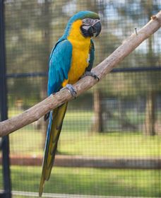 Amazement Farm And Fun Park / Cafe And Farmstay Accommodation - Attractions Sydney 8