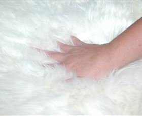 Mortels Sheepskin Factory - Attractions Sydney 4