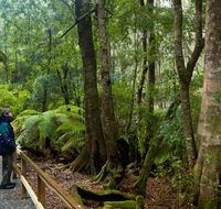 Monga National Park - Attractions Sydney