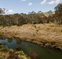 Werrikimbe National Park - Attractions Sydney