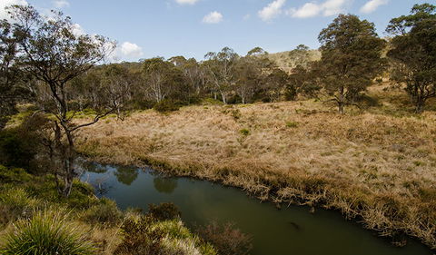 Werrikimbe National Park - Attractions Sydney 0