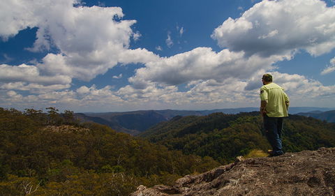 Werrikimbe National Park - Attractions Sydney 2