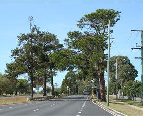 Anzac Memorial Avenue, Redcliffe - Attractions Sydney 2