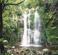 Budderoo National Park - The Falls Walk - Attractions Sydney