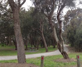 Tuggerah Lakes Cycleway - Attractions Sydney 2