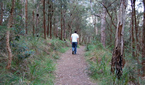 Lake Macquarie State Conservation Area - Attractions Sydney 3